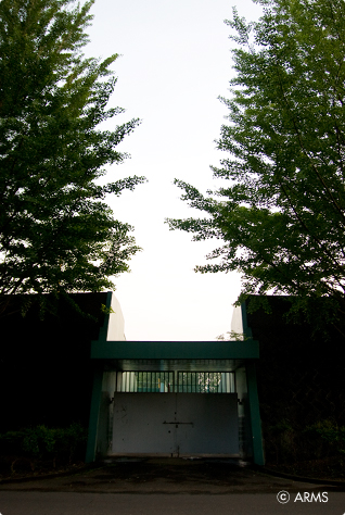 淡いコントラスト