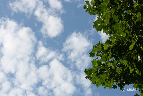 空
