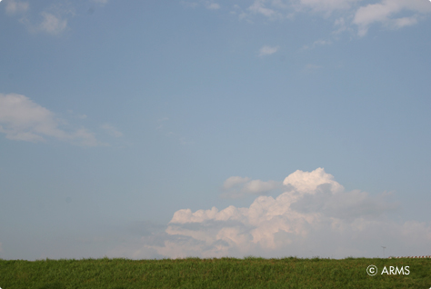 土手と空
