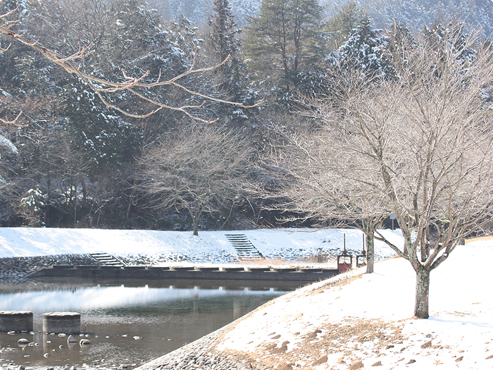 公園