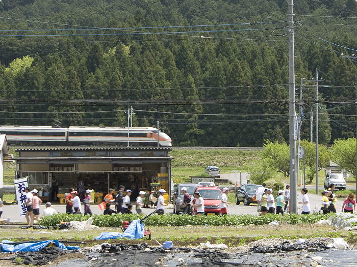 鹿沼さつきマラソン