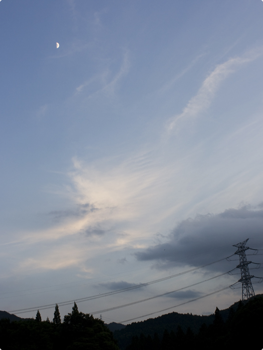 半月
