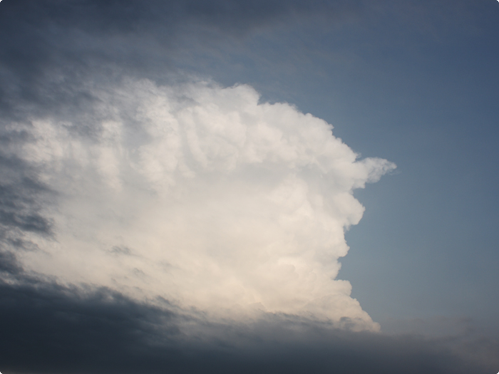 夏雲